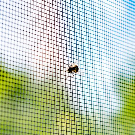 Image result for Insect Screen Type