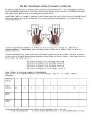 Image result for Henry Classification System