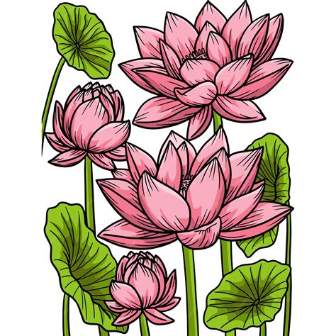 Lotus Flower Clipart