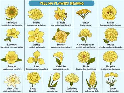 Yellow Flower Meanings: 21 Types & Their Interpretations