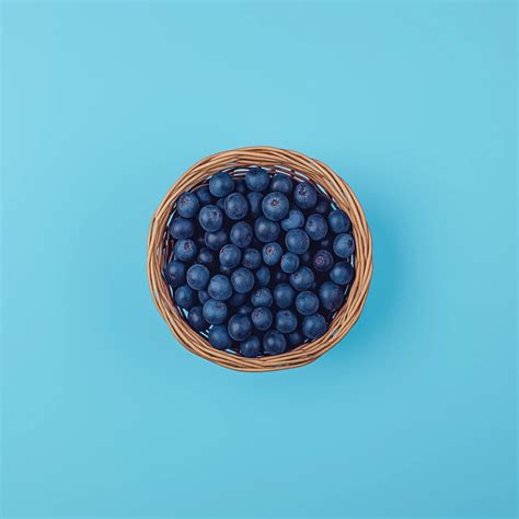 Blueberry Season: When are Blueberries in Season? – Foodtree