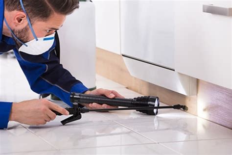 Discover Pest Control Costs | Get Estimates & Budgeting Tips