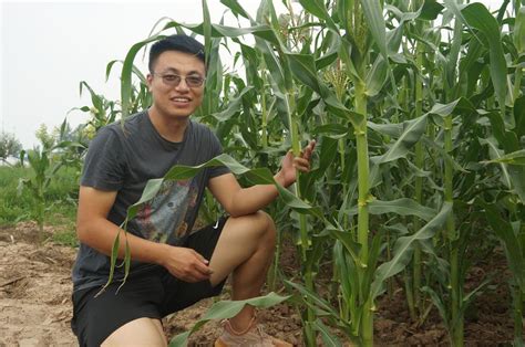 出“彩”——创业大学生种出“文玩玉米”-新华网
