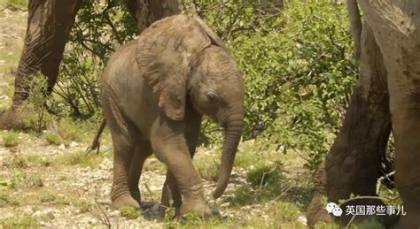 地球 的图像结果