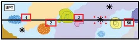 Image result for Transect Method Continuous Sampling