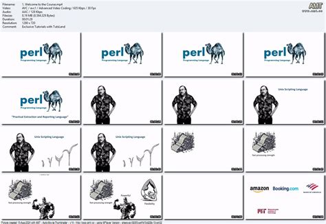 Image result for Perl Programming Course