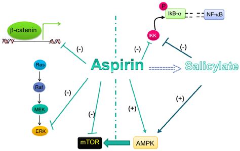 Mechanistic and Pharmacological Issues of Aspirin as an Anticancer Agent