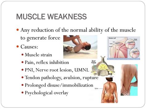 Image result for Testing Strength Inlab