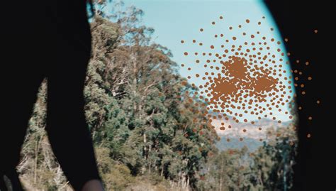 Cybernetics 的图像结果