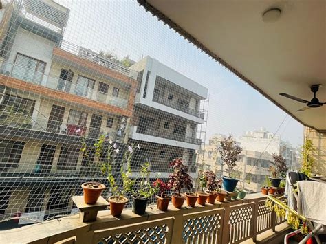 gsHOMENET Bird Net (10 Ft X 100 FT) Pack of 5/Anti Bird Net/Pigeon Net ...