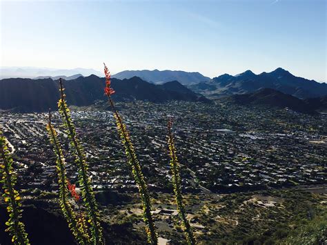 Visit North Mountain: 2024 North Mountain, Phoenix Travel Guide | Expedia