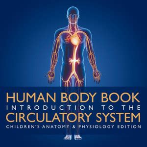Human Body Book Introduction to the Circulatory System Children's ...