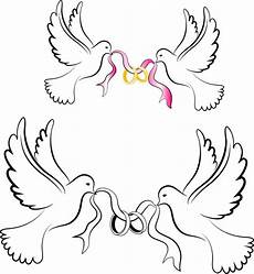 Wedding Dove Clipart by White Wedding Doves With Rings Free Vector In Adobe Wedding Dove Clipart