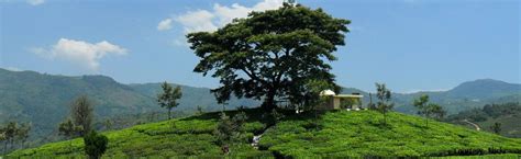 Kotagiri, Ooty/Coonoor - Activities, nearby places & things to do