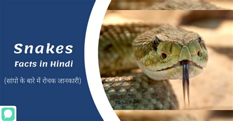 Snakes Facts in Hindi - सांपो के बारे में रोचक जानकारी