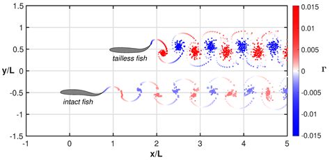 How Free Swimming Fosters the Locomotion of a Purely Oscillating Fish ...