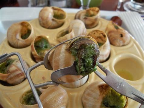 Escargots de bourgogne - Escargot World