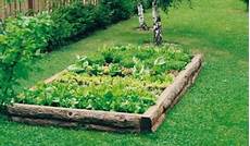 fare l orto in giardino come utilizzare la pollina per la concimazione dell orto fare l orto in giardino come utilizzare la pollina per la concimazione dell orto