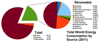 Interesting Biomass Energy Facts for Children | Twinkl Blog