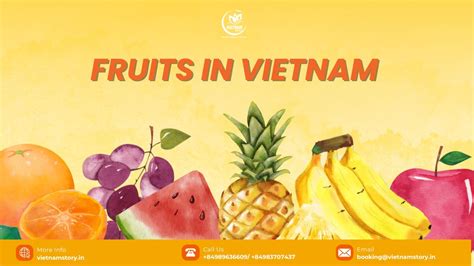 Top Famous & Exotic Fruits In Vietnam You Must Try 2025