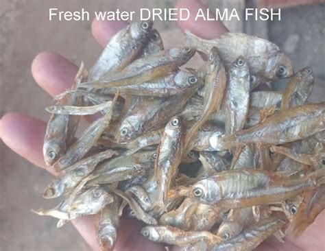 Patel Grinding Industries Private Limited Mumbai - Dried Alma Fish ...