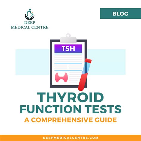 Thyroid Function Test Explained 的图像结果