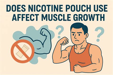 Does Zyn Affect Muscle Growth