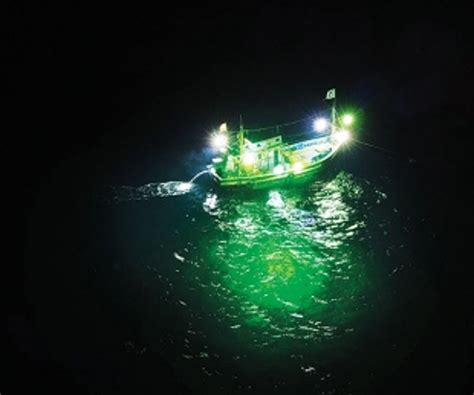 Goa Fisheries Minister says action being taken against use of LED lights