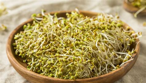 6 Herbs That Will Help You Increase Red Blood Count Naturally ...