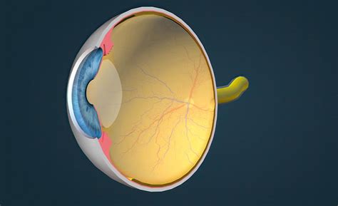 Cornea Specialist in Kirti Nagar, Delhi - Dr Sarika Gupta