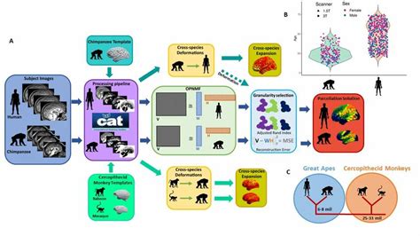 Image result for Comparative Approach