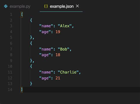 Image result for Python Pretty Print JSON