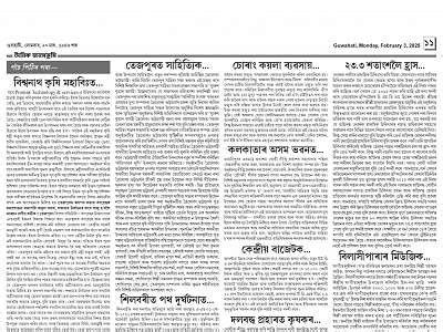daily Page: 11 - TITLE HOME - Dainik Janambhumi