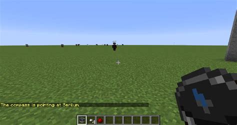 Player Tracking Compass Command 的图像结果