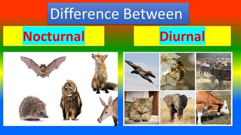 Image result for What Is an Embedded System Computer Science