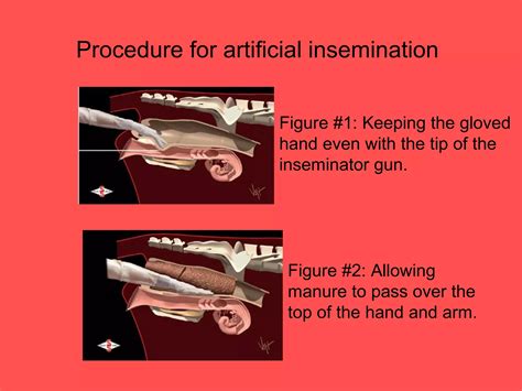 ARTIFICIAL INSEMINATION | PPT