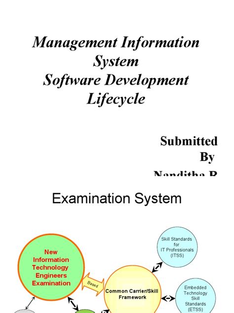 Management Information System Software 的图像结果