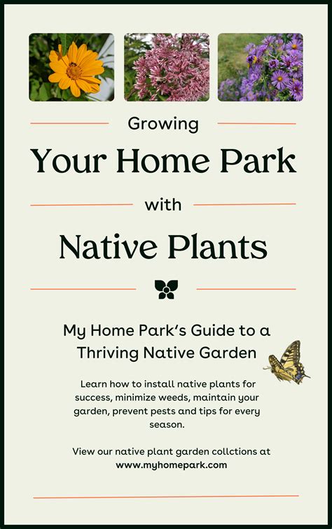 Buy Pennsylvania Native Plants | My Home Park