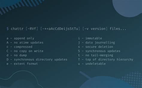 File Attributes Linux 的图像结果