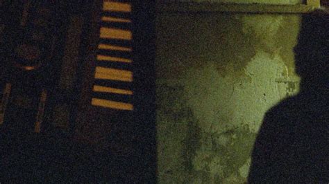 Orchid Mantis in Philadelphia, Silk City Diner, Philadelphia, 18 July ...