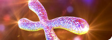 Was Telomere und Deine Geisteshaltung verbindet - Allversum Magazin