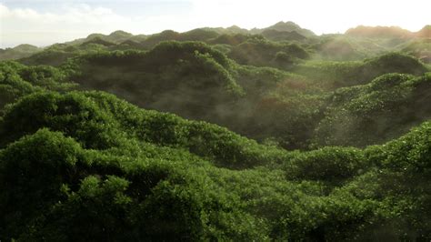 Image result for Blender Tutorial for Animation Forest