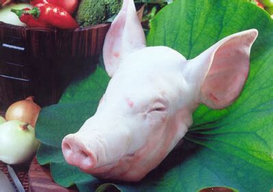 猪头肉海报 图片下载_红动中国