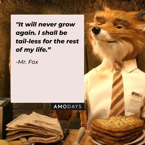 40 'Fantastic Mr. Fox' Quotes to Tempt You off the Straight and Narrow