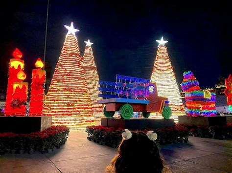 Mexico Citys Christmas Lights and Festivities Walking Tour, Centro ...