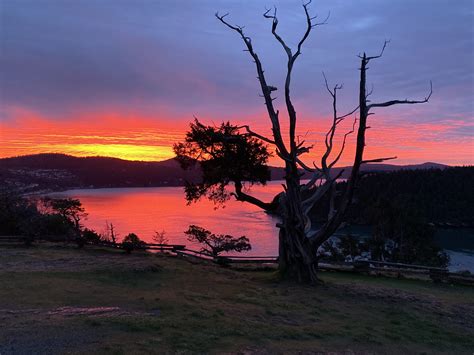 Anacortes Weather | Wings Over Skagit
