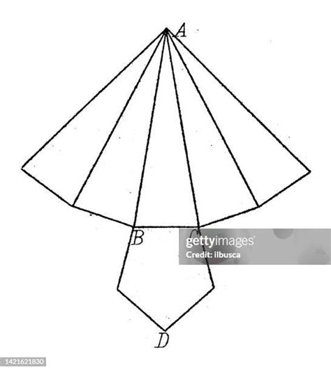 Pyramid Science 的图像结果
