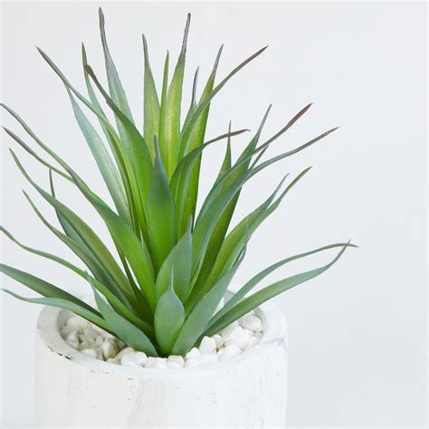Buy Eternity Artificial Succulent in Marble Pot from Home Centre at ...