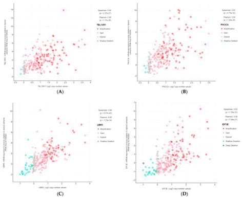Recurrent Somatic Copy Number Alterations and Their Association with ...