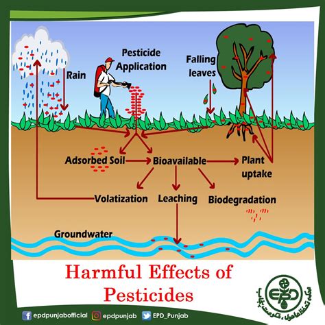 Image result for Insecticide Effects